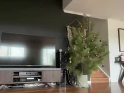 kittengirlxo profile picture - chaturbate fetish cam model