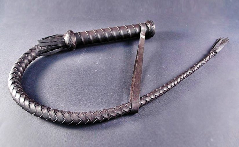 About Whipping Cams: Famous Figures under a whip